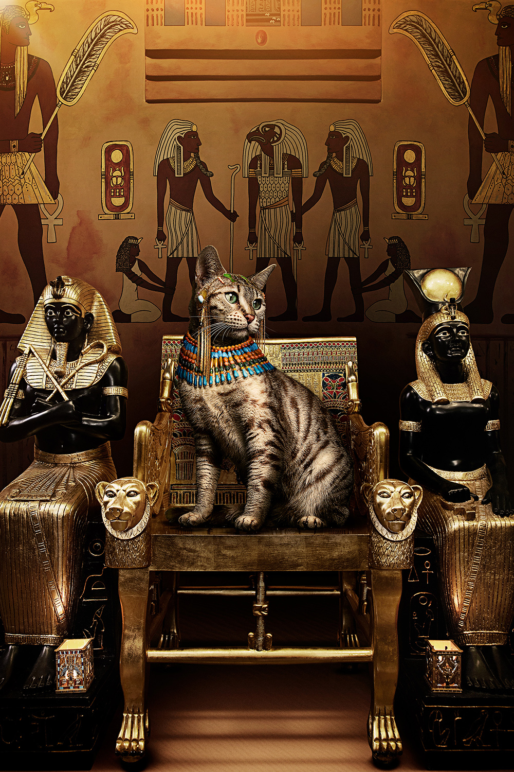 Древние Кошки Фото