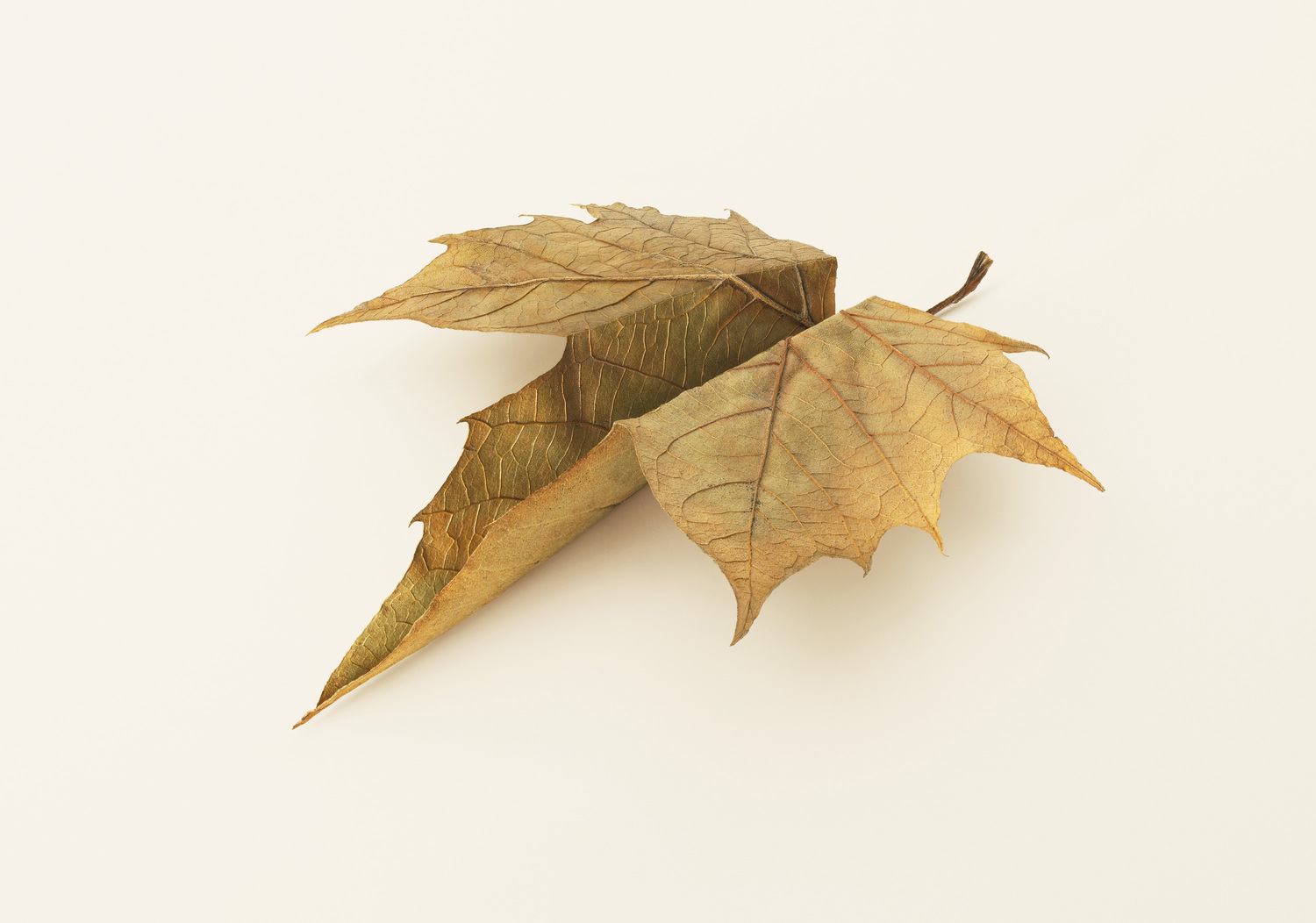 Самолетики из листьев. Самолетики из листьев. Как делать истребитель из бумаги а4. Листья из авиации. Как сделать самолет из бумаги из листа а4.